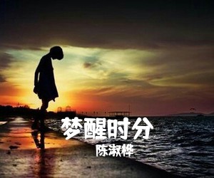 陈淑桦《梦醒时分吉他谱》(C调)