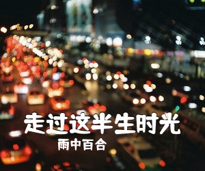 雨中百合《走过这半生时光简谱》