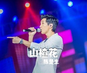 陈楚生《山楂花吉他谱》(G调)