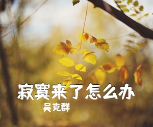 吴克群《寂寞来了怎么办吉他谱》