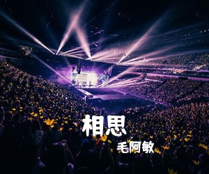 毛阿敏《相思吉他谱》(C调)