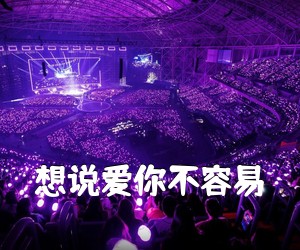 《想说爱你不容易吉他谱》(C调)