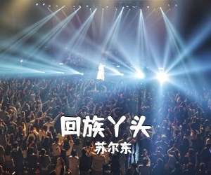 苏尔东《回族丫头吉他谱》(F调)