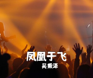 吴秉泽《凤凰于飞吉他谱》(G调)
