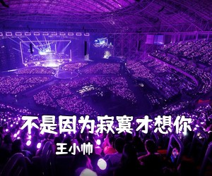王小帅《不是因为寂寞才想你吉他谱》(C调)