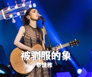 蔡健雅《被驯服的象吉他谱》