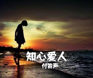 付笛声《知心爱人吉他谱》(G调)