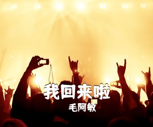 毛阿敏《我回来啦简谱》