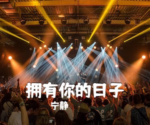 宁静《拥有你的日子吉他谱》(C调)