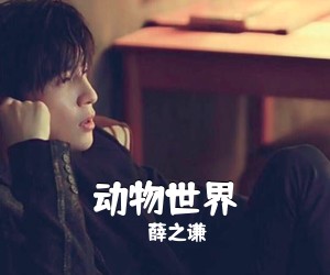 薛之谦《动物世界吉他谱》(C调)