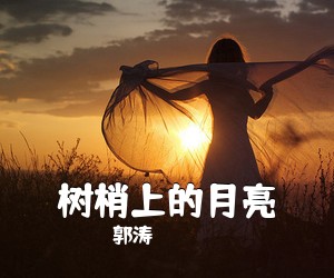 郭涛《树梢上的月亮简谱》