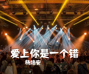 杨培安《爱上你是一个错吉他谱》(G调)