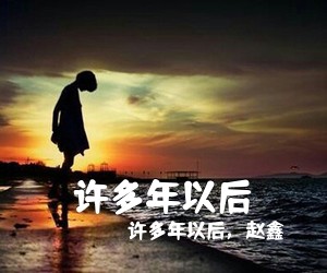 ***以后，赵鑫《***以后吉他谱》