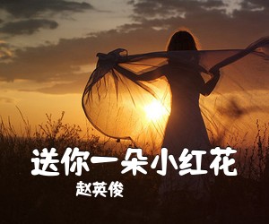 赵英俊《送你一朵小红花吉他谱》