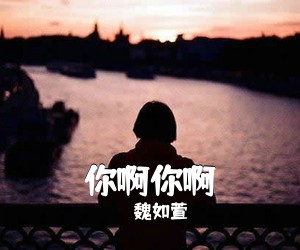 魏如萱《你啊你啊吉他谱》(C调)