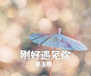李玉刚《刚好遇见你吉他谱》(C调)