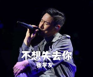 张学友《不想失去你吉他谱》(G调)