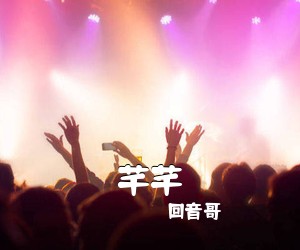 回音哥《芊芊吉他谱》(C调)