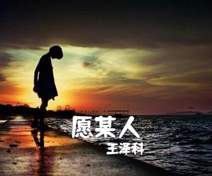 王泽科《愿某人吉他谱》(C调)
