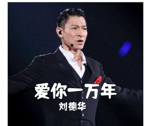 刘德华《爱你一万年吉他谱》(C调)