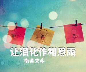 南合文斗《让泪化作相思雨吉他谱》(G调)