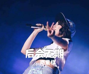 邓紫棋《后会无期吉他谱》(G调)