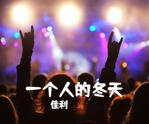 佳利《一个人的冬天吉他谱》(D调)