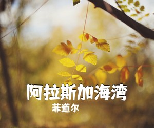 菲道尔《阿拉斯加海湾吉他谱》(C调)