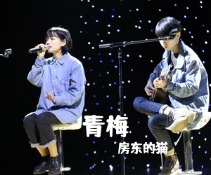 房东的猫《青梅吉他谱》(G调)