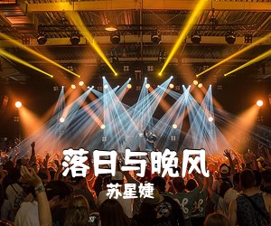 苏星婕《落日与晚风吉他谱》(G调)
