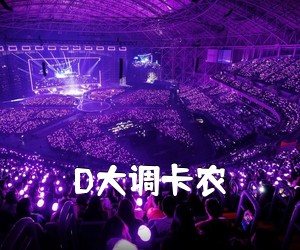 《D大调卡农吉他谱》