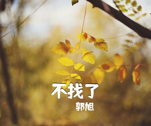 郭旭《不找了吉他谱》(C调)