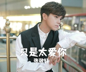 张敬轩《只是太爱你吉他谱》(G调)