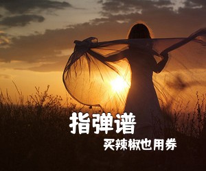 买辣椒也用券《指弹谱吉他谱》