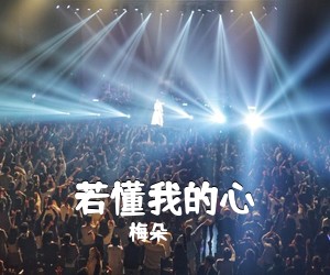梅朵《若懂我的心简谱》