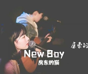 房东的猫《New Boy吉他谱》