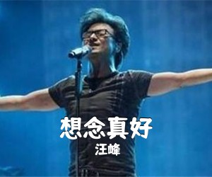 汪峰《想念真好吉他谱》