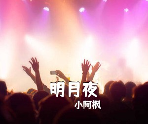 小阿枫《明月夜吉他谱》(C调)