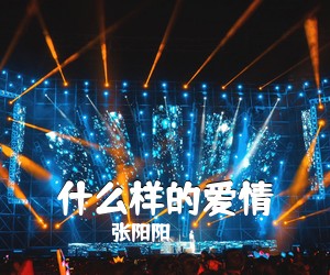 张阳阳《什么样的爱情吉他谱》(G调)