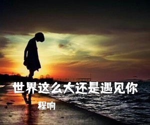 程响《世界这么大还是遇见你吉他谱》(C调)