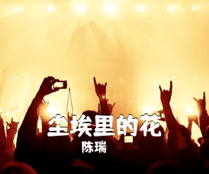 陈瑞《尘埃里的花吉他谱》