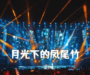《月光下的凤尾竹吉他谱》(G调)