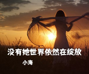 小海《没有她世界依然在绽放吉他谱》
