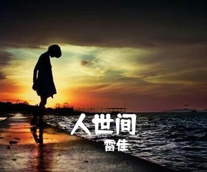 雷佳《人世间吉他谱》(C调)