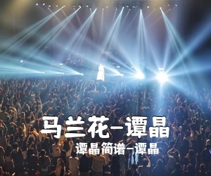 谭晶简谱-谭晶《马兰花-谭晶简谱》