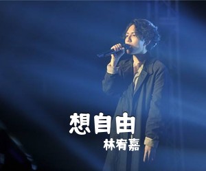 林宥嘉《想自由吉他谱》(G调)