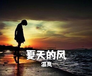 温岚《夏天的风吉他谱》