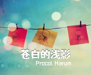 Procol Harum《苍白的浅影简谱》