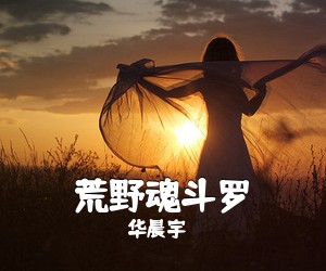 华晨宇《荒野魂斗罗吉他谱》(C调)