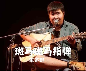 宋冬野《斑马斑马指弹吉他谱》